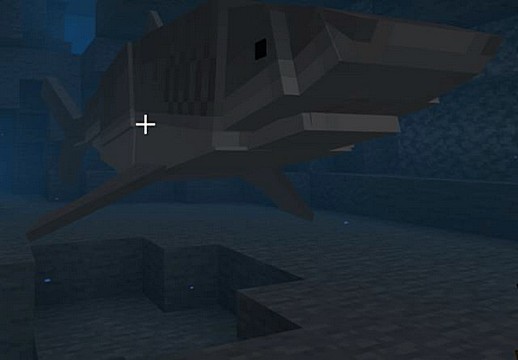 Minecraft PE mod Shark Biology 1.16 for Android