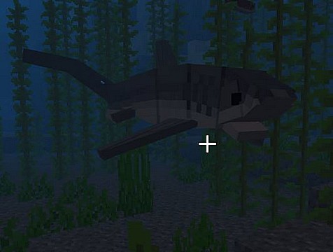 Minecraft PE mod Shark Biology 1.16 for Android