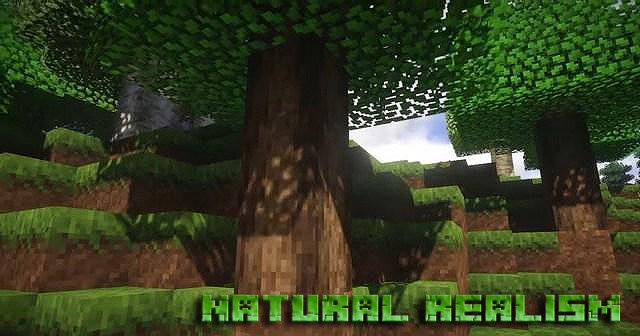 Download Natural Realism textures for Minecraft 1.12.2
