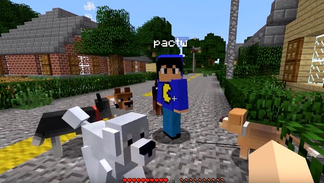 Download free dog mod for Minecraft 1.7.10